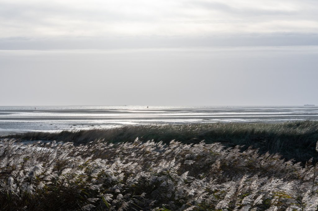 terschelling2022_252.jpg