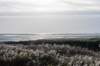 terschelling2022_252_small.jpg