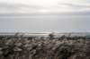 terschelling2022_253_small.jpg