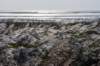 terschelling2022_254_small.jpg