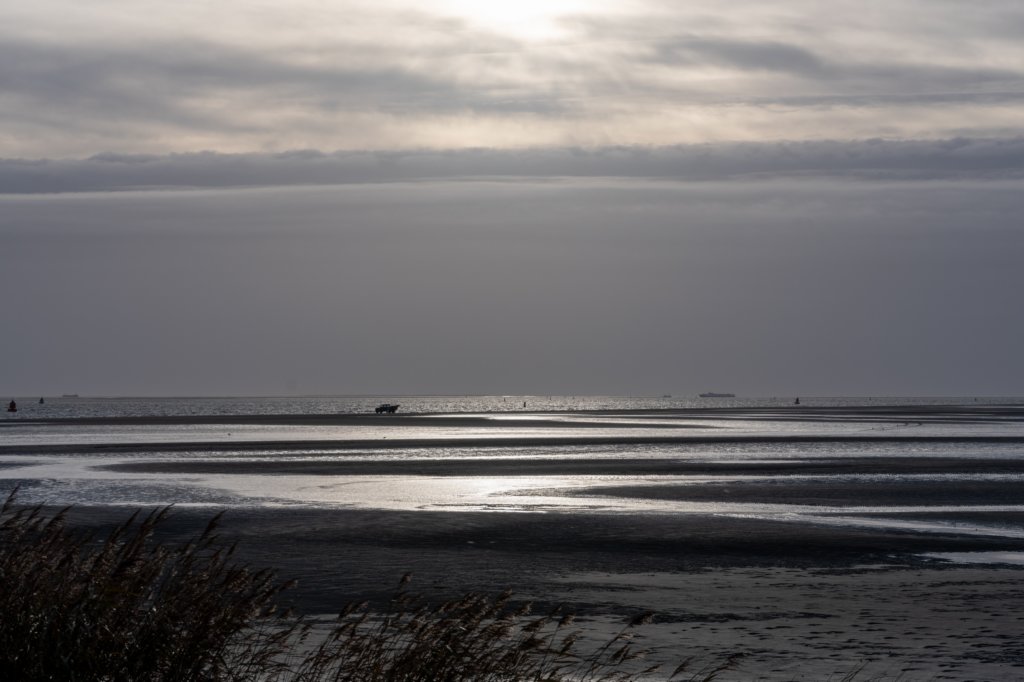 terschelling2022_255.jpg