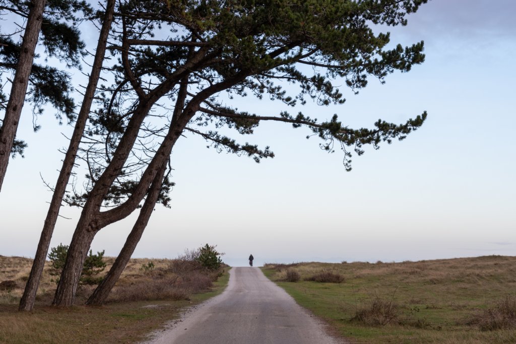 terschelling2022_265.jpg