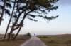 terschelling2022_265_small.jpg