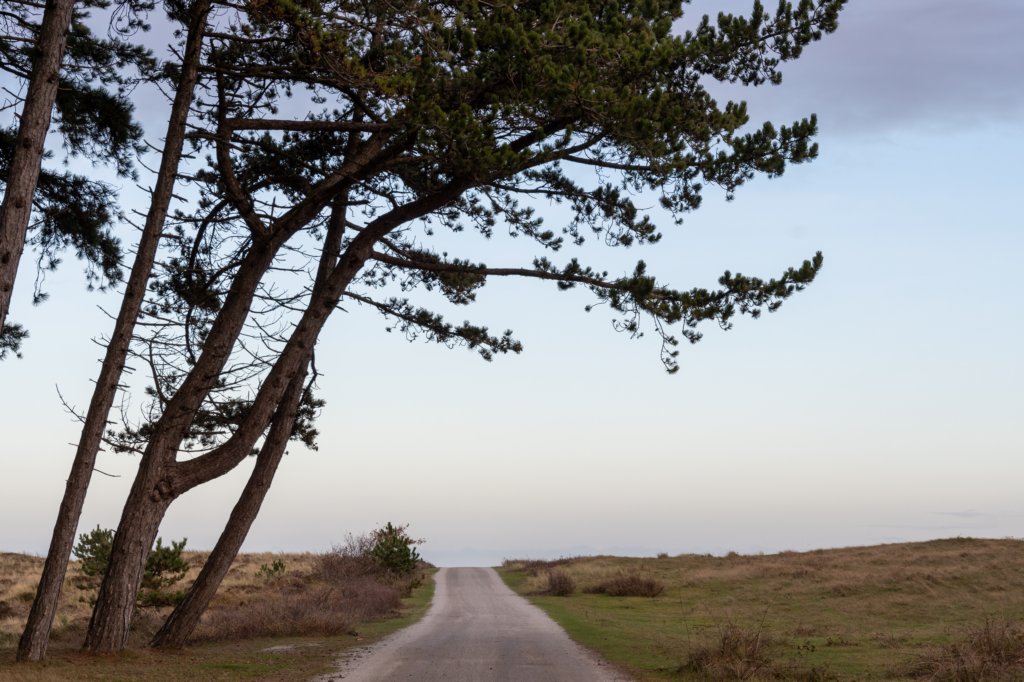 terschelling2022_266.jpg
