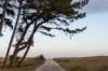 terschelling2022_266_small.jpg