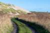 terschelling2022_271_small.jpg