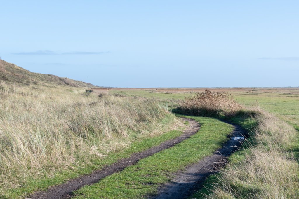 terschelling2022_272.jpg