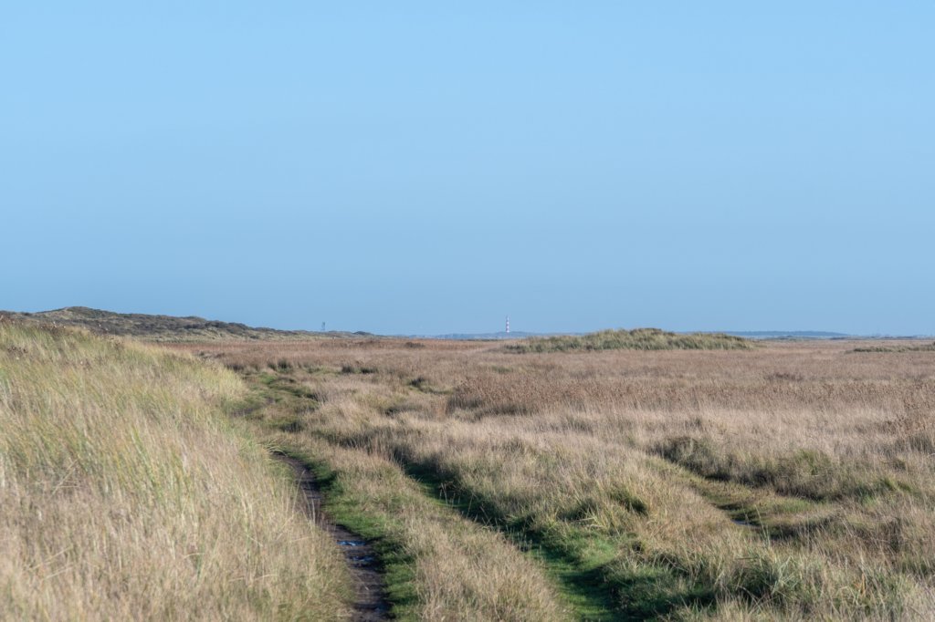 terschelling2022_274.jpg