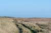 terschelling2022_274_small.jpg