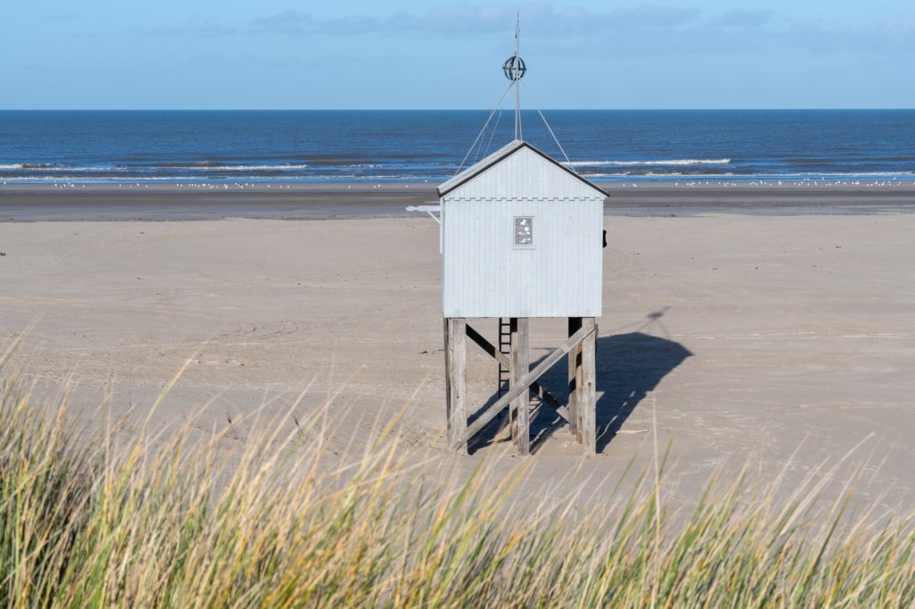 terschelling2022_281.jpg