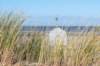 terschelling2022_282_small.jpg