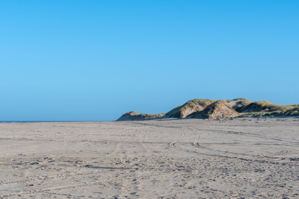 terschelling2022_290.jpg
