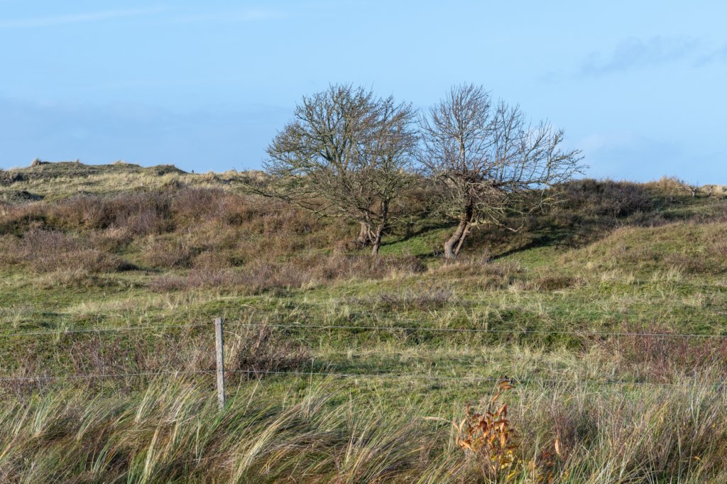 terschelling2022_301.jpg