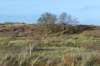 terschelling2022_301_small.jpg