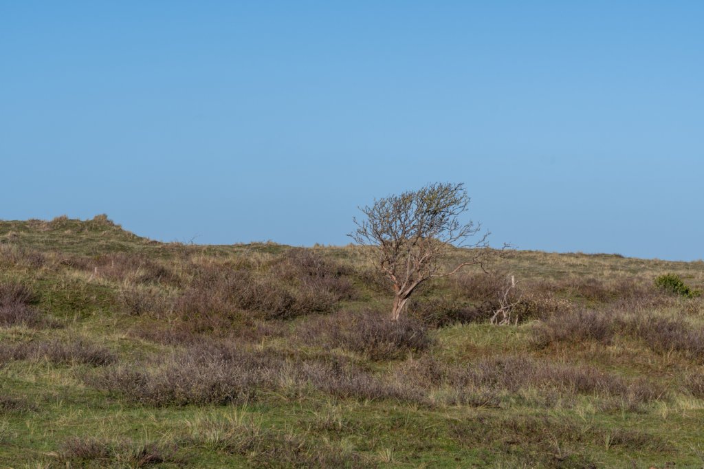 terschelling2022_302.jpg