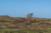 terschelling2022_302_small.jpg