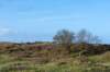 terschelling2022_303_small.jpg
