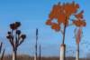 terschelling2022_308_small.jpg