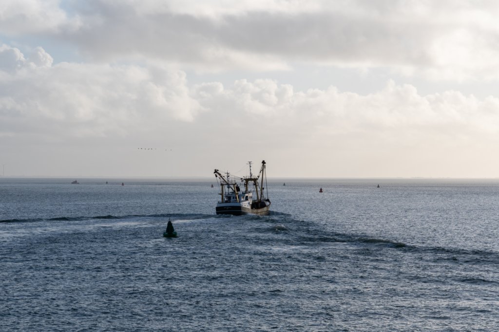 terschelling2022_319.jpg