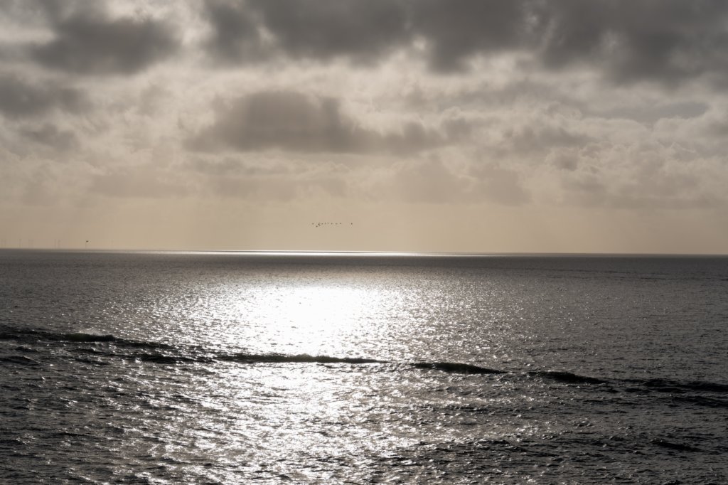 terschelling2022_320.jpg