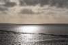 terschelling2022_320_small.jpg
