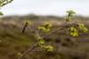 terschelling2023_014_small.jpg