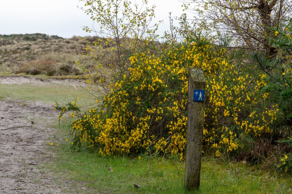terschelling2023_036.jpg