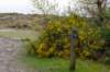 terschelling2023_036_small.jpg