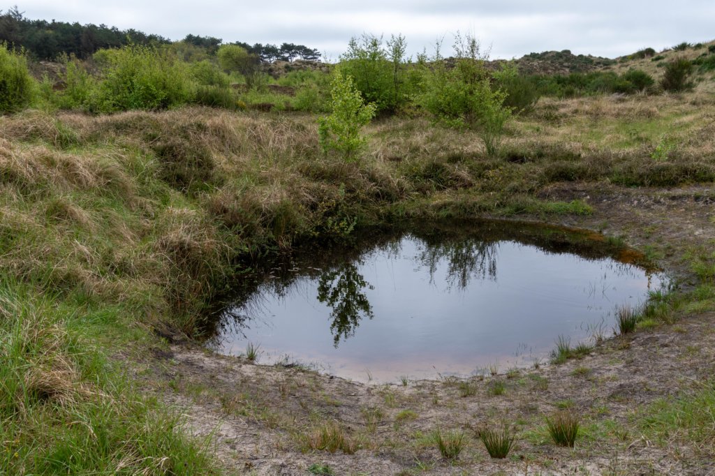 terschelling2023_039.jpg