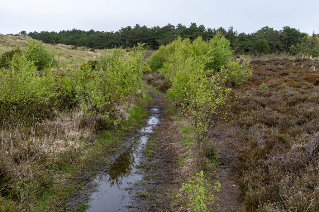terschelling2023_040.jpg