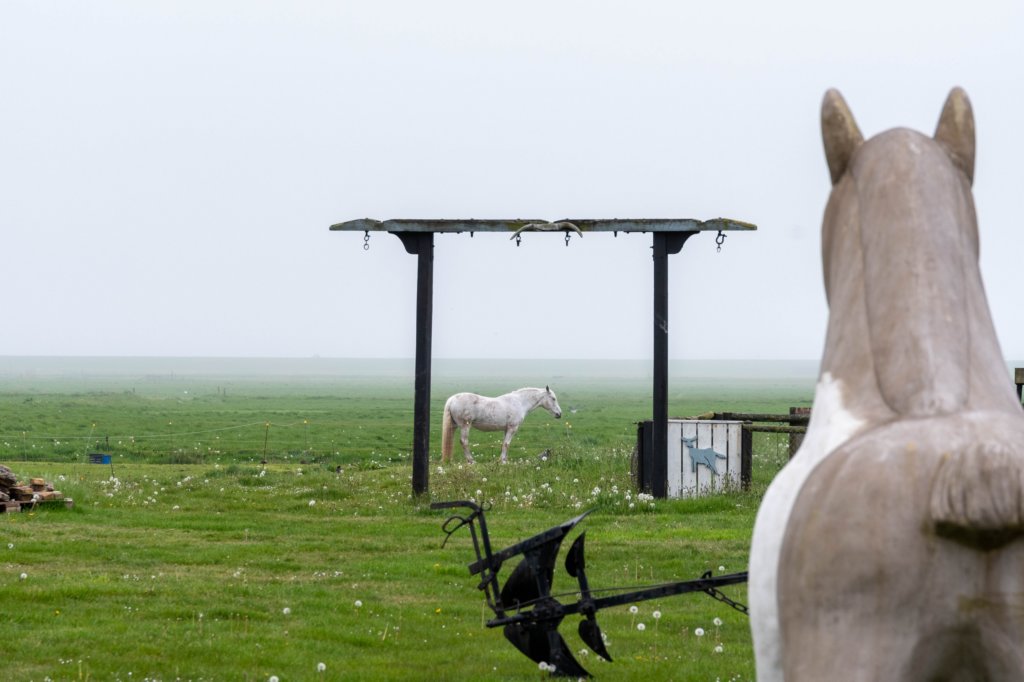 terschelling2023_050.jpg