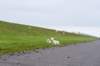 terschelling2023_055_small.jpg