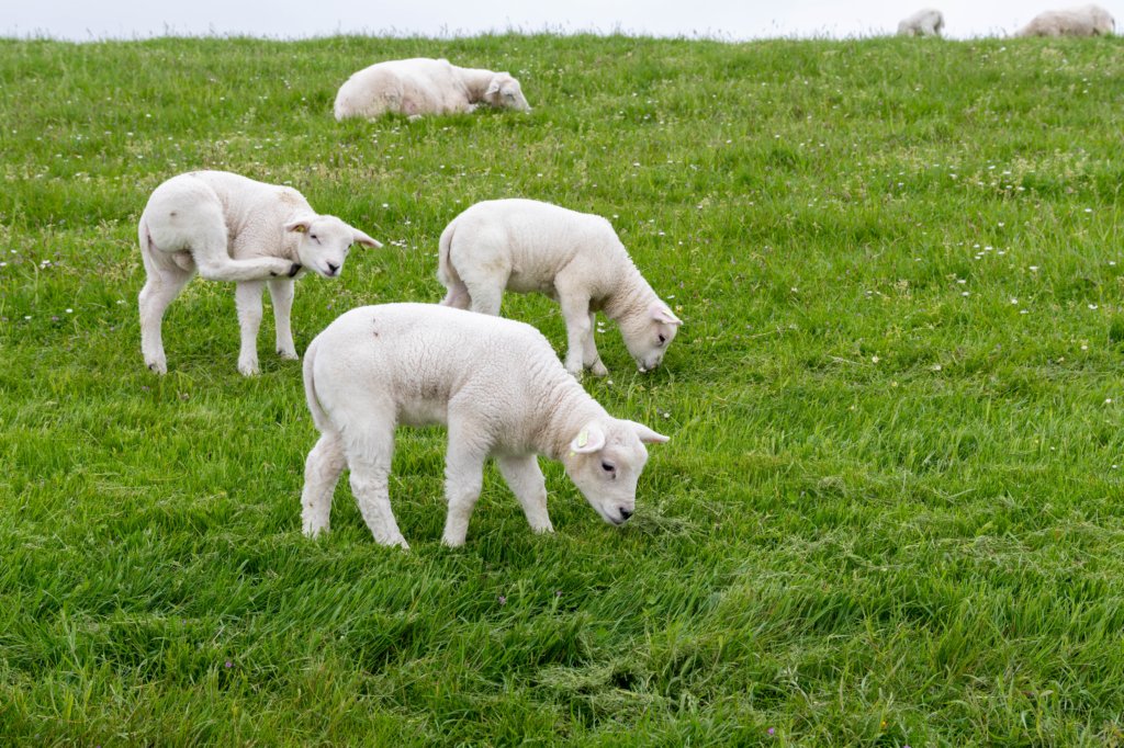 terschelling2023_059.jpg