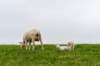 terschelling2023_061_small.jpg