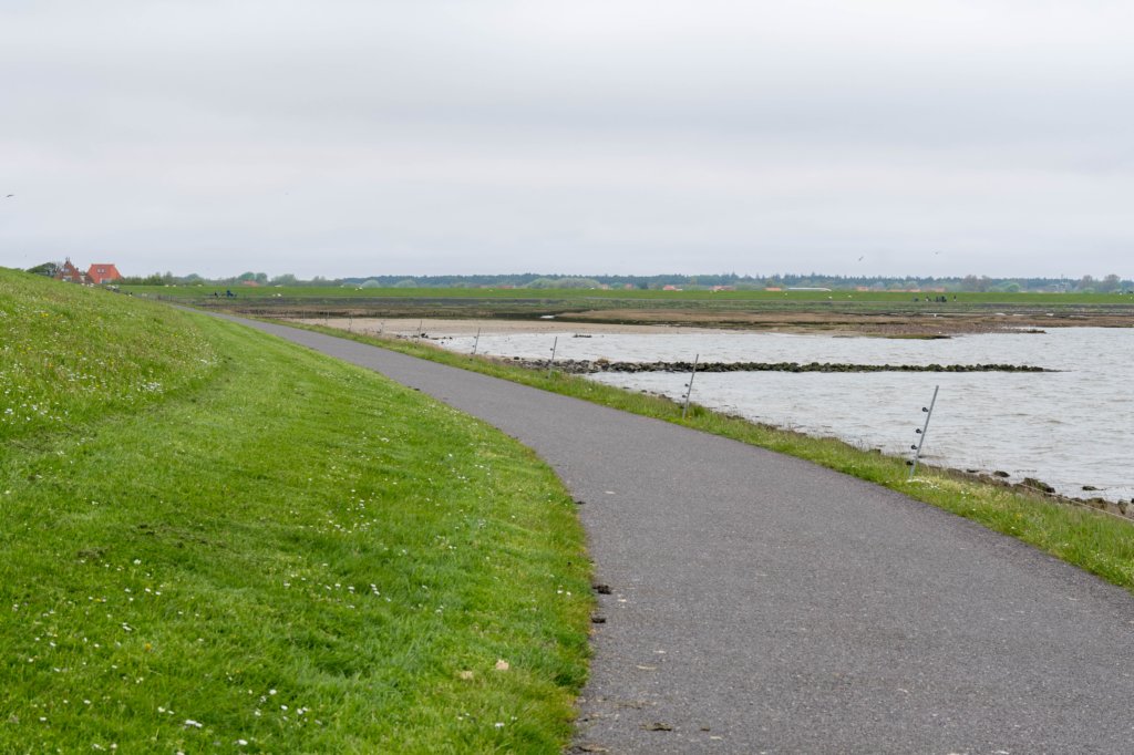 terschelling2023_063.jpg