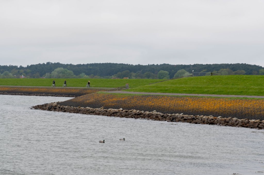 terschelling2023_066.jpg