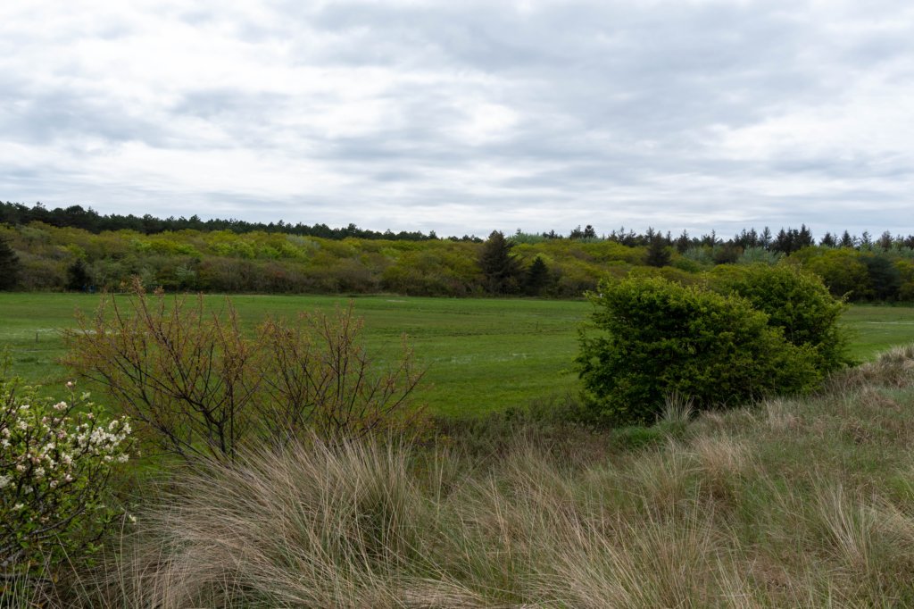 terschelling2023_071.jpg