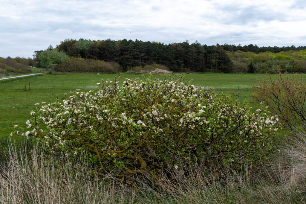 terschelling2023_072.jpg