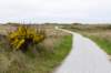terschelling2023_074_small.jpg