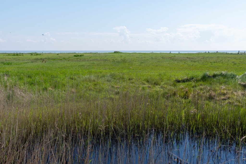 terschelling2023_075.jpg