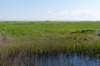 terschelling2023_075_small.jpg