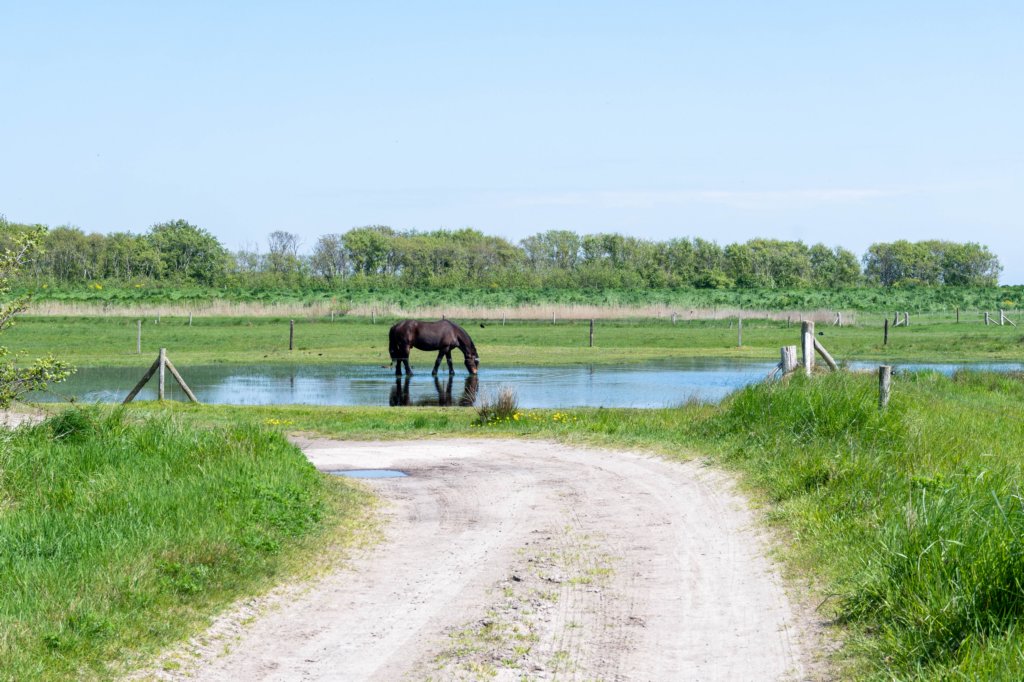 terschelling2023_079.jpg
