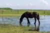terschelling2023_080_small.jpg
