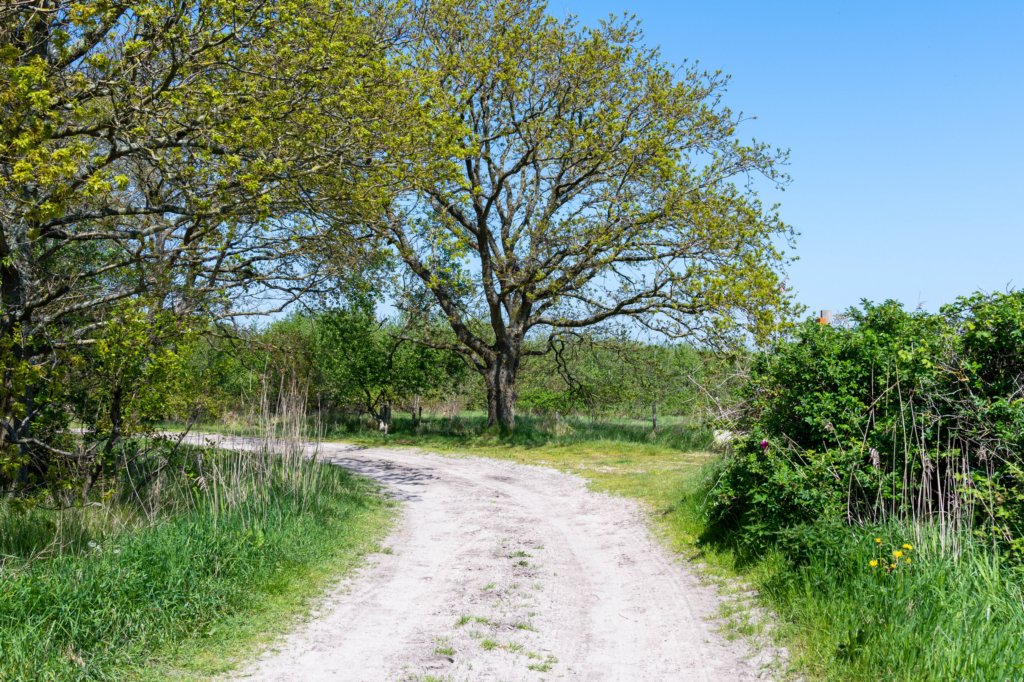 terschelling2023_082.jpg