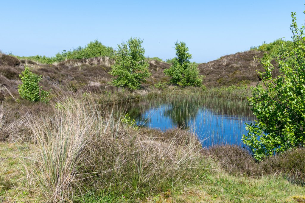 terschelling2023_086.jpg