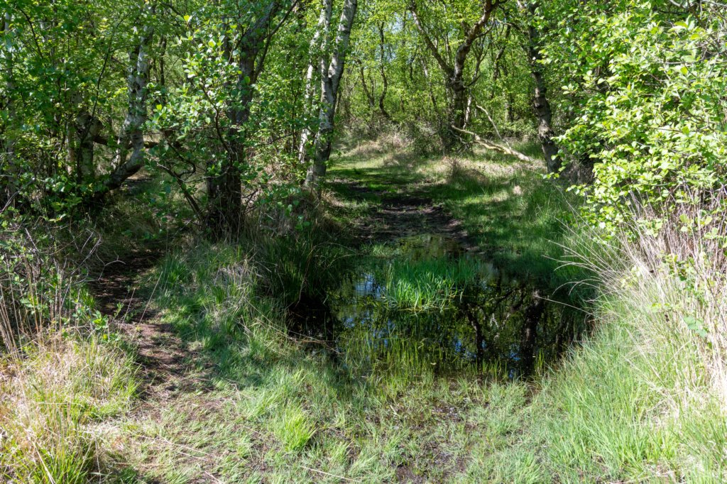 terschelling2023_092.jpg