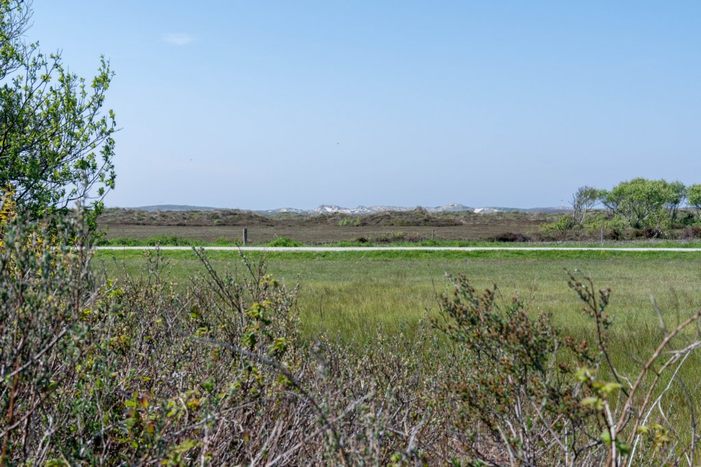 terschelling2023_094.jpg