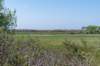 terschelling2023_094_small.jpg