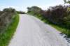 terschelling2023_096_small.jpg