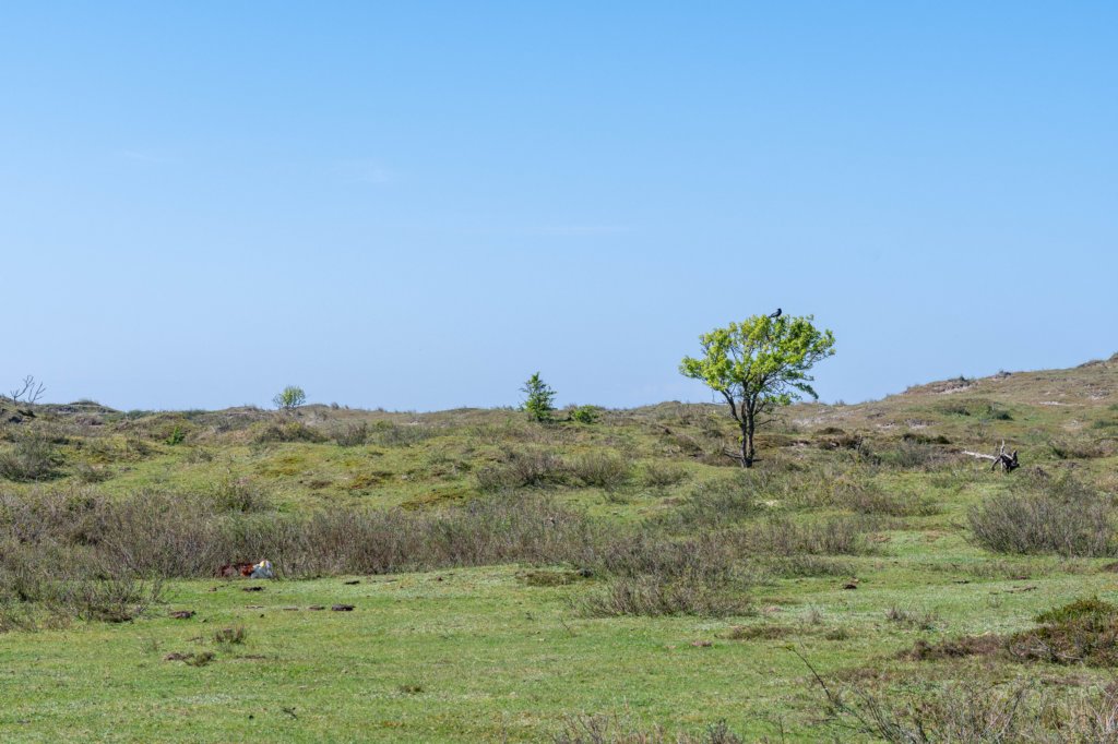 terschelling2023_098.jpg